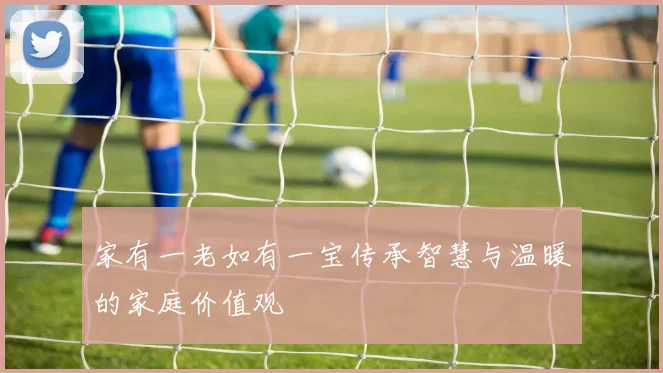家有一老如有一宝传承智慧与温暖的家庭价值观